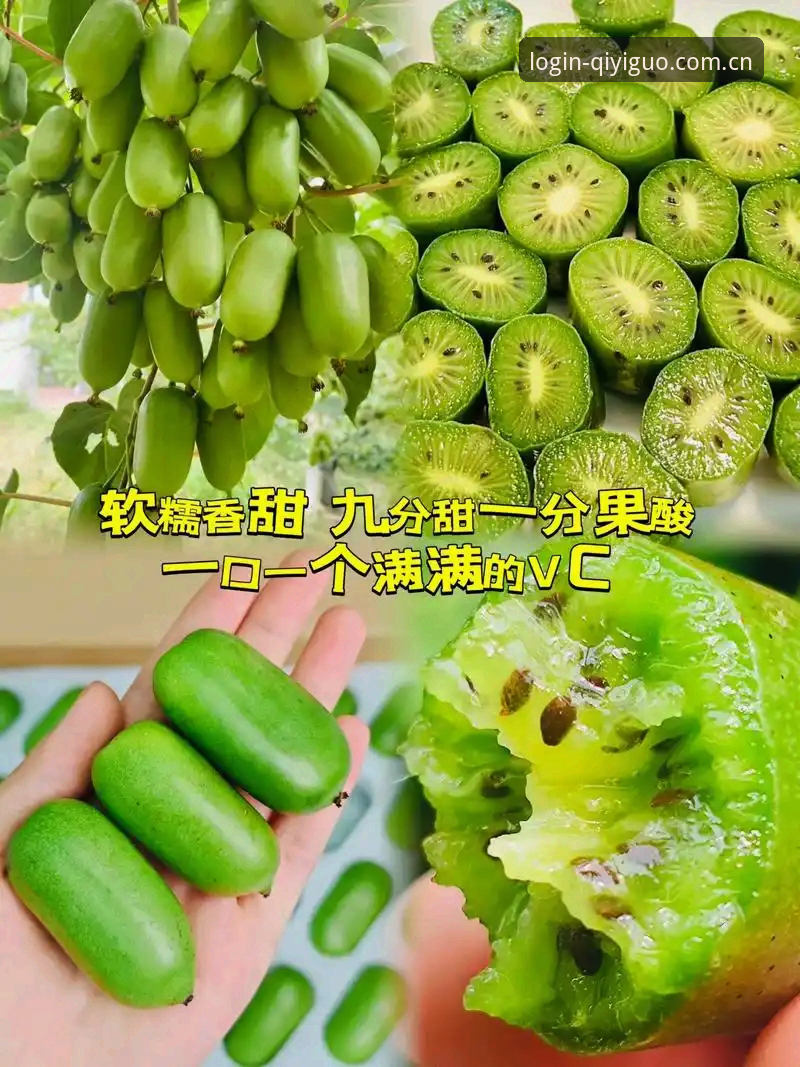 奇异果体育平台深度分析：从下载体验到赛事直播的全面解析