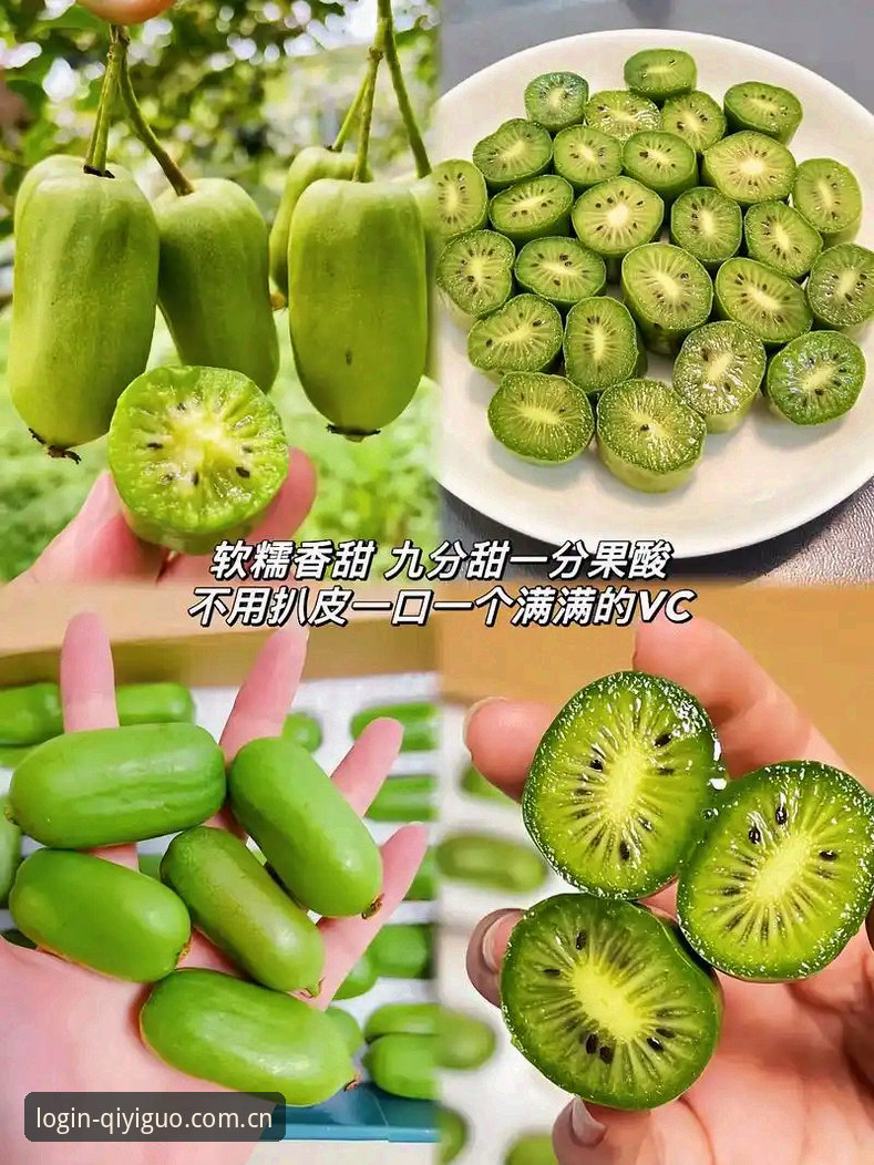揭秘奇异果体育APP背后的技术真相：果直播平台体验深度评测